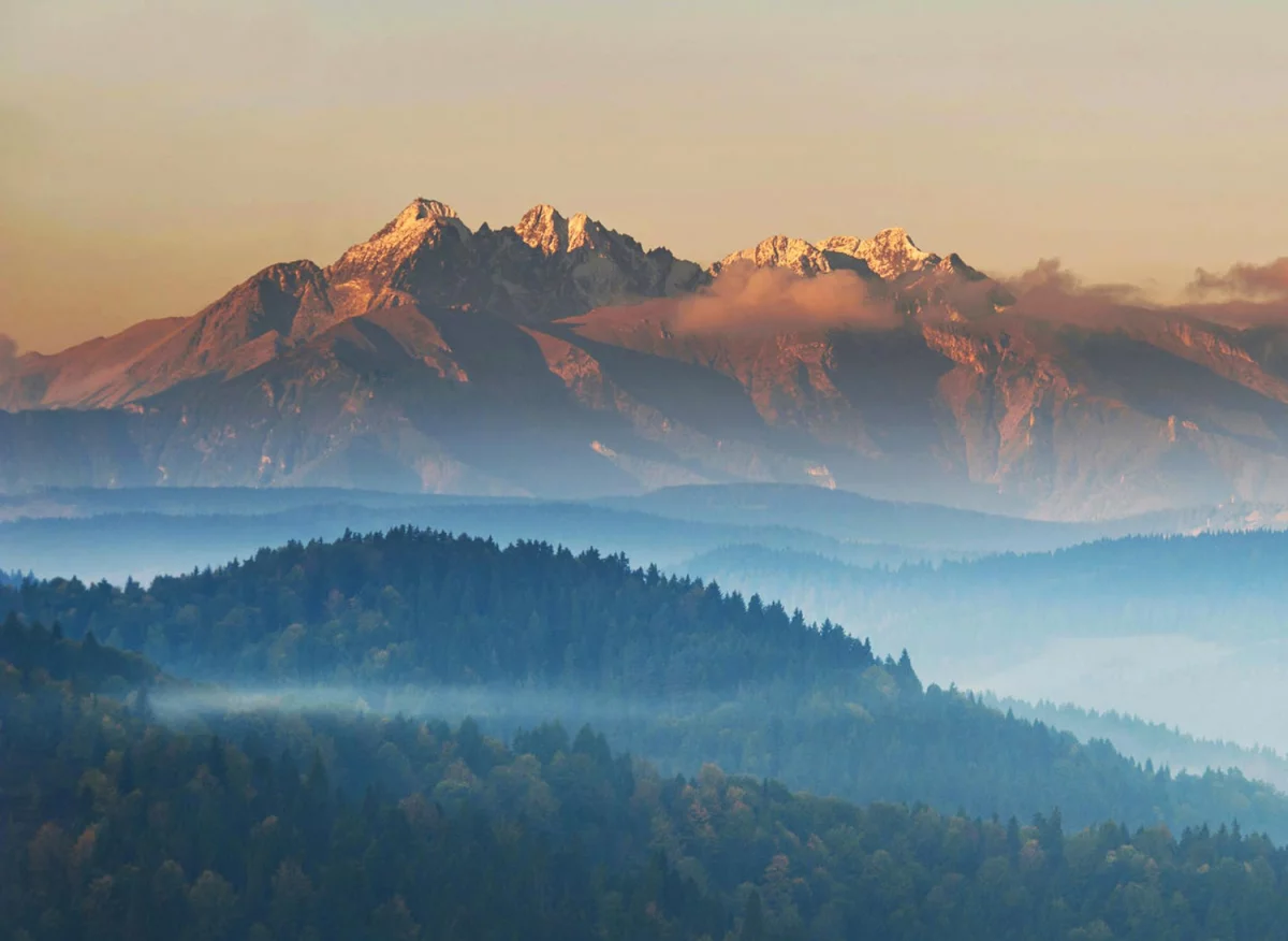 2024 najlepszym okresem aby  Szkolić się z ppoż