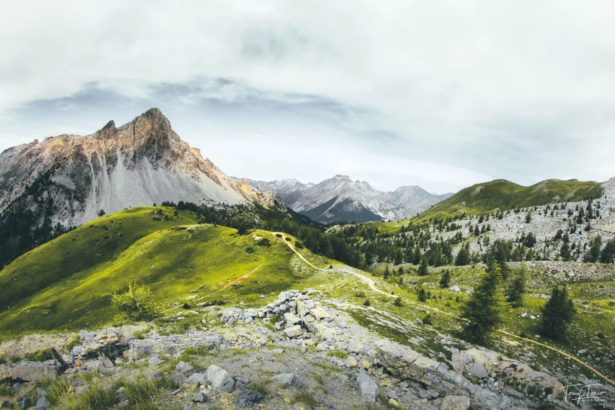 Oto Jak Szybko I Bezpieczenie kupić szkolenia okresowe bhp