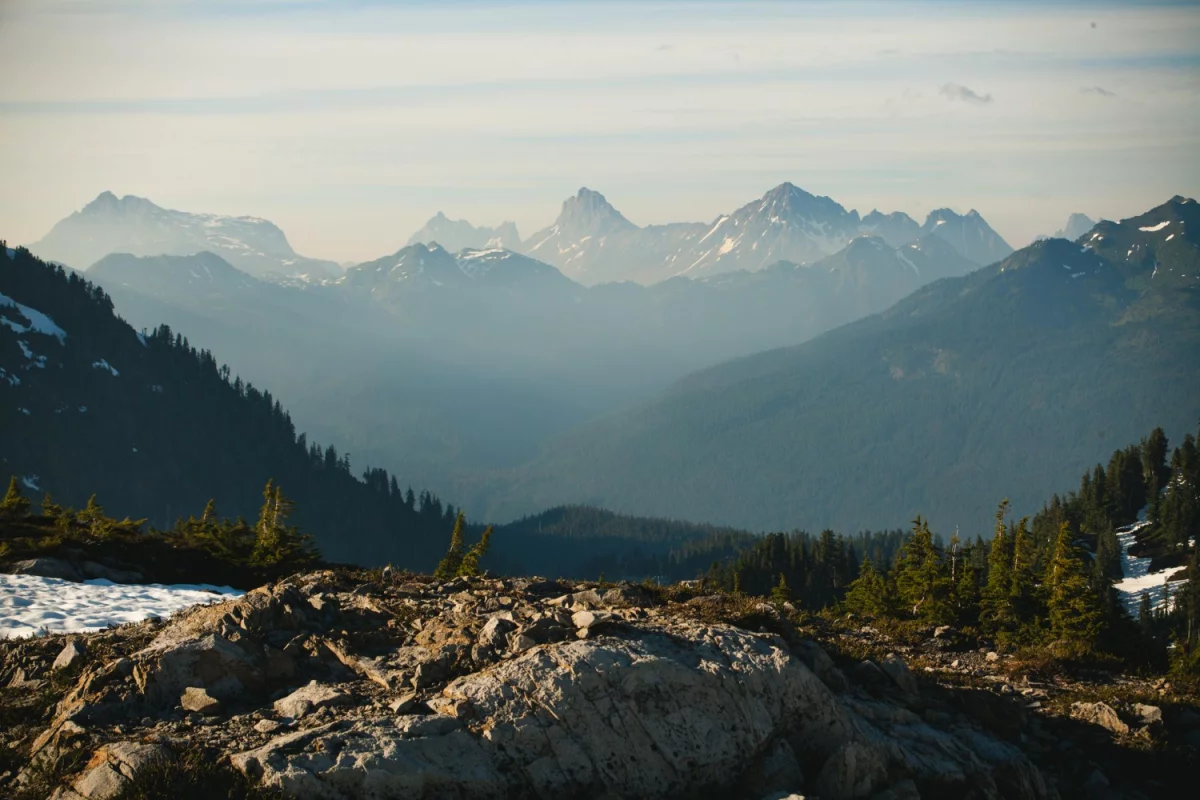 O korzyściach z marketingu internetowego
