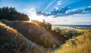 Radca prawny - kompetencje i obowiązki