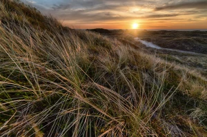 Usługi prawnicze - kto powinien z nich korzystać?