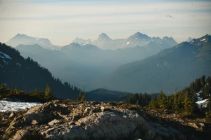 Kilka porad - wybór adwokata od rozwodów